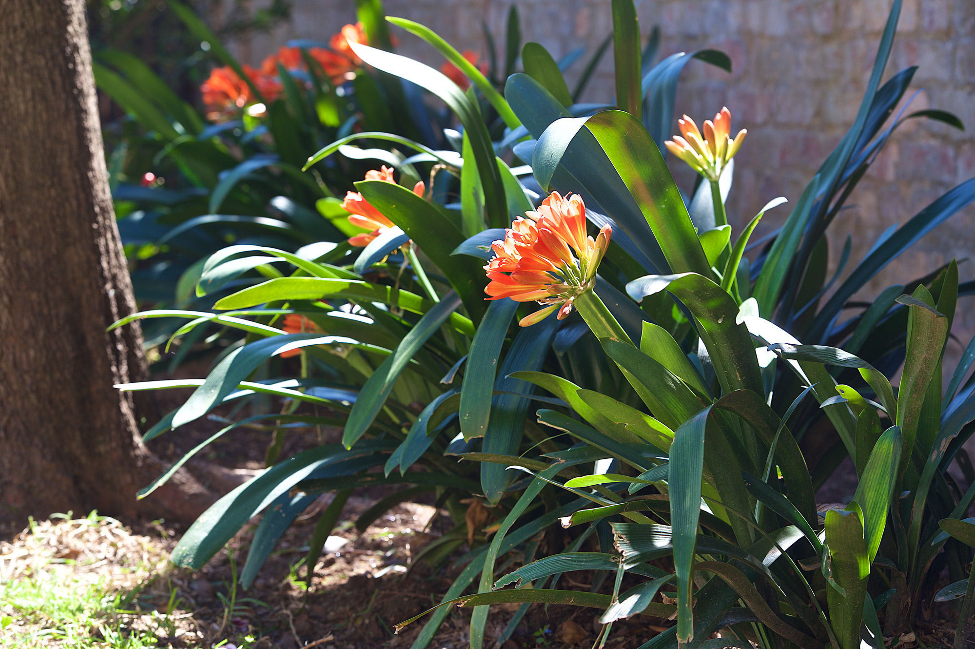 Stellenbosch Gardens Lägenhet Exteriör bild