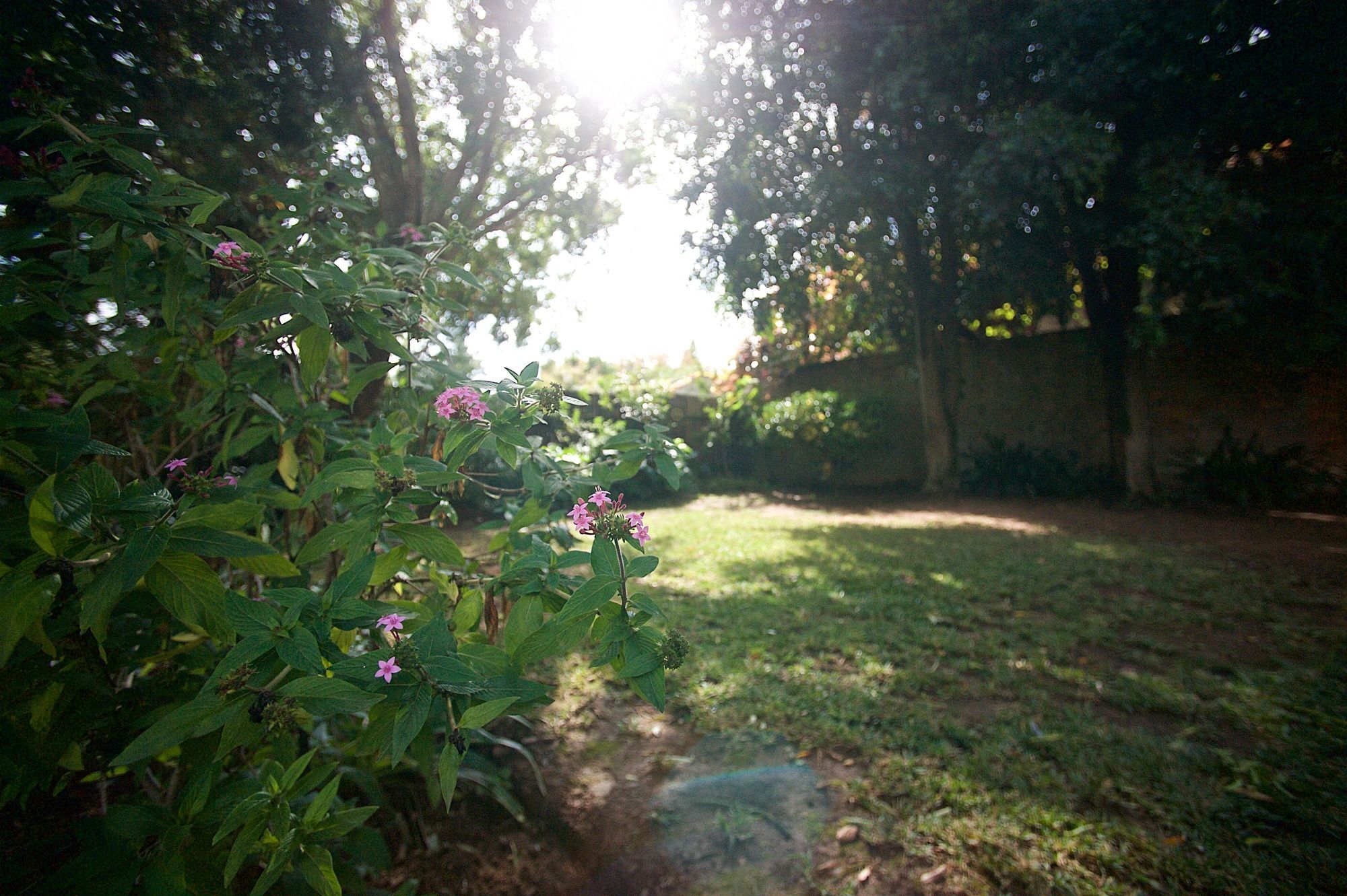 Stellenbosch Gardens Lägenhet Exteriör bild